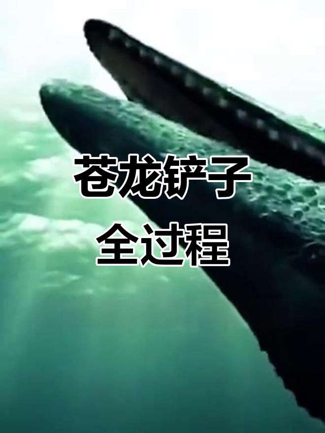 苍龙产仔惊险瞬间,鲨鱼围攻幼崽生死时速