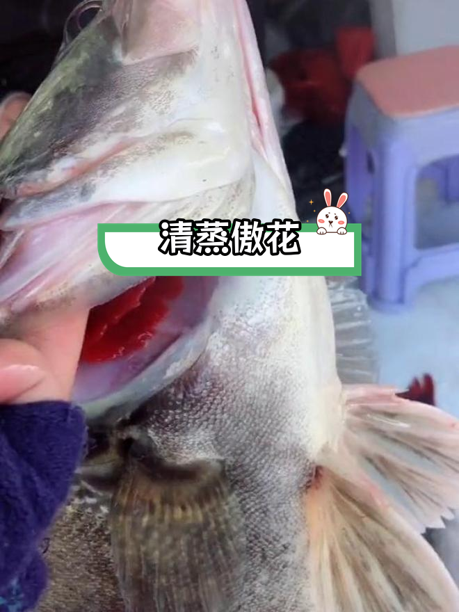 鳌花鱼:南北称呼不同,清蒸红烧最佳