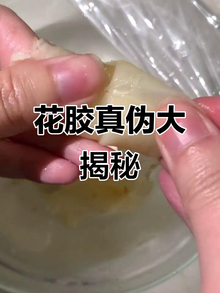 深海花胶真假难辨,100头鱼胶竟然是这样!