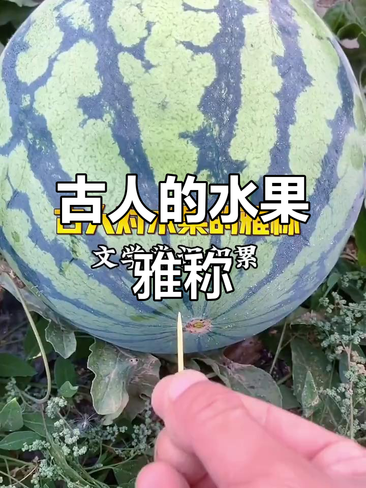 古人如何用雅称形容水果？西瓜、葡萄到樱桃都有哪些别名