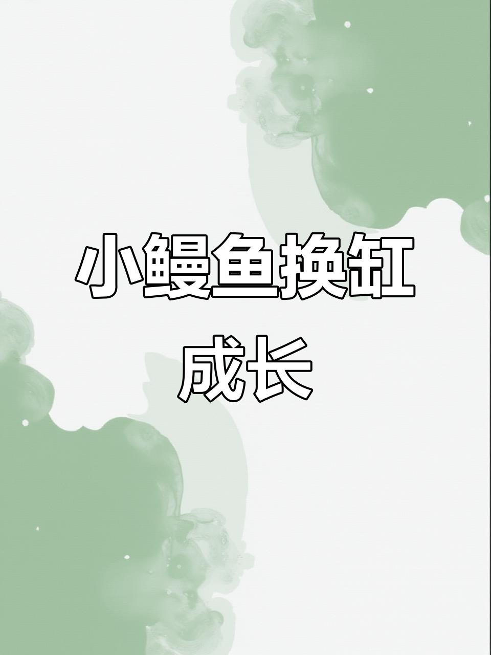鳗鱼苗换缸记:从玻璃瓶到新家,适应过程超有趣