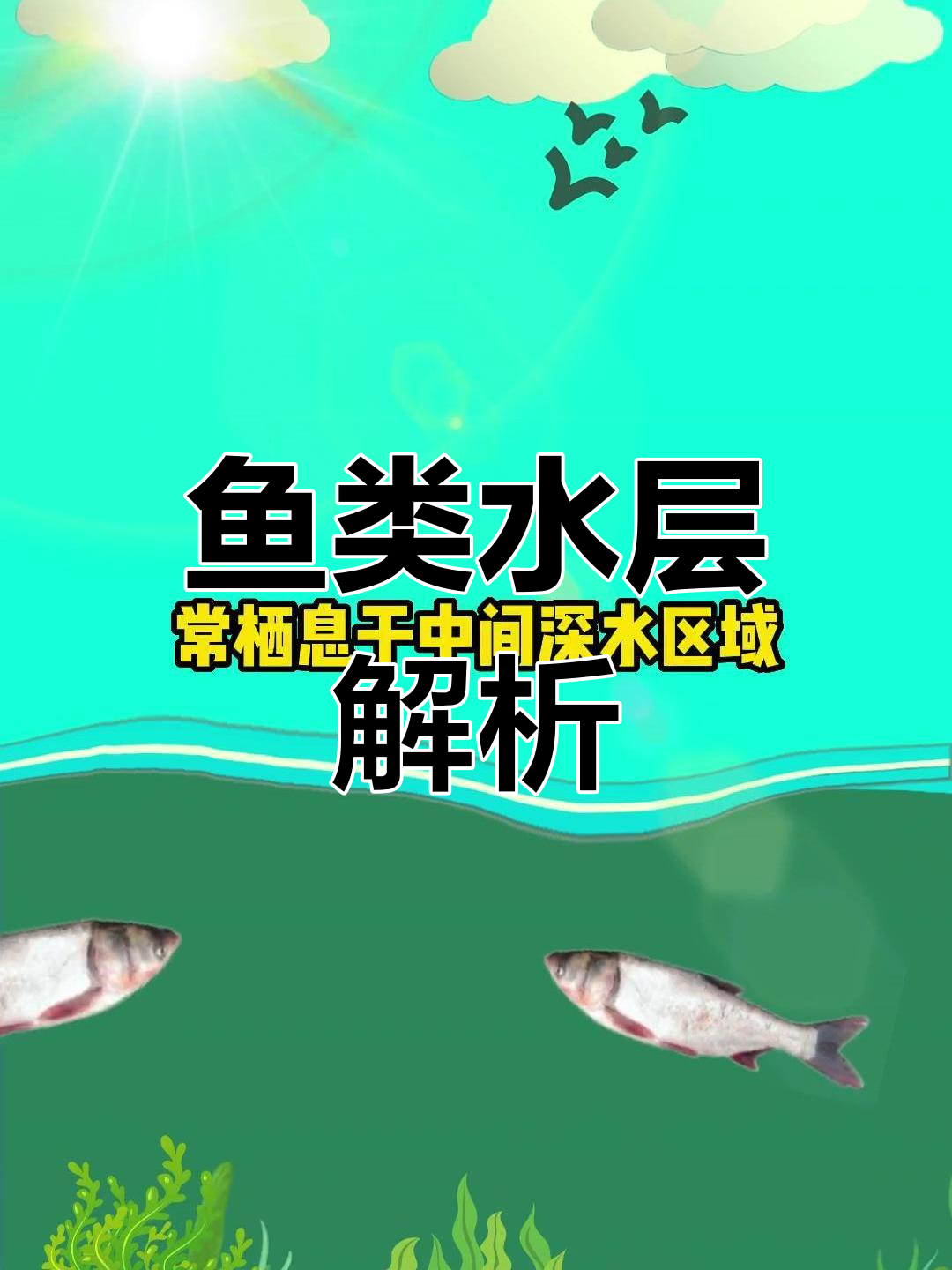 秋季钓鱼必知:13种常见鱼的水层分布