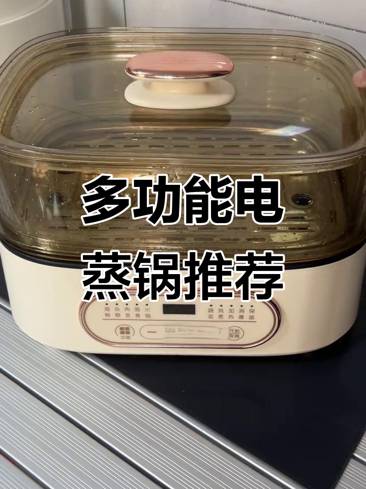 魔冻电蒸锅,26升大容量设计超实用