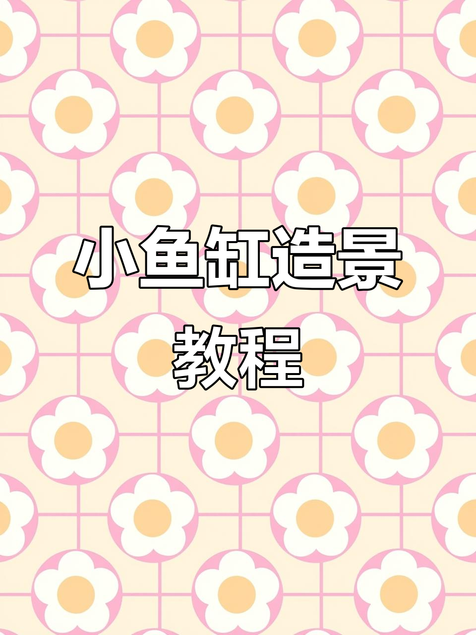 横缸小鱼缸造景全攻略，打造自然生态水草景观