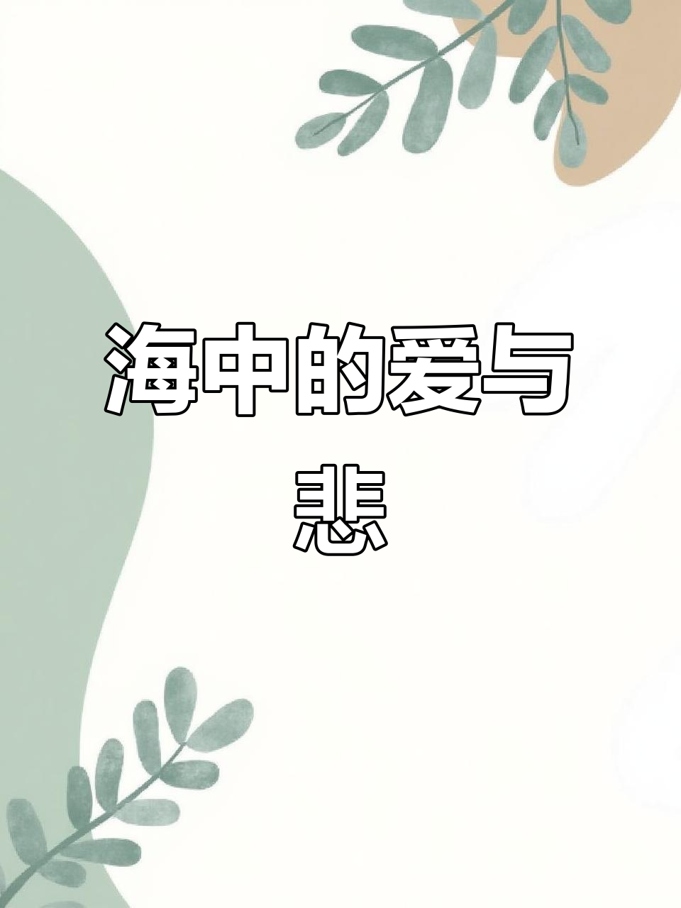 珊瑚见证爱与遗憾,海鸟鱼恋成永恒的意外