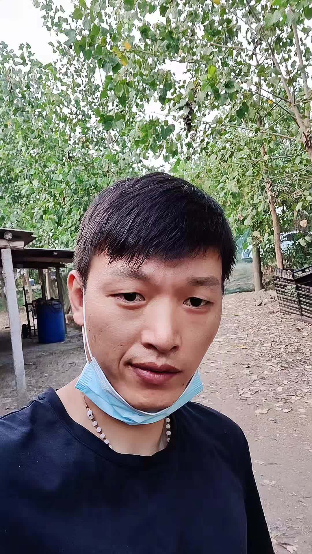 皖南黄,阉鸡成年4斤多,一般养殖6个月,效益还不错 记录真实生活 我的乡村生活 生活不会辜