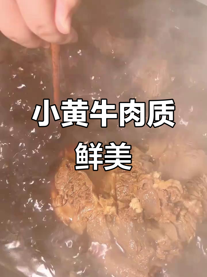 鲁西小黄牛腱子肉,嫩滑又多汁,家庭聚餐必备美味