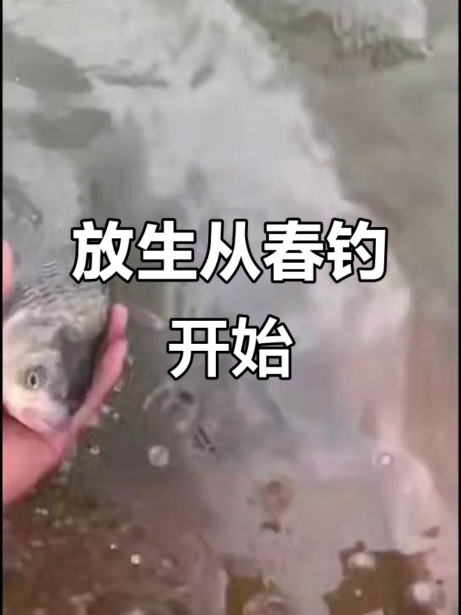 春天钓鱼放生,做个合格的钓手