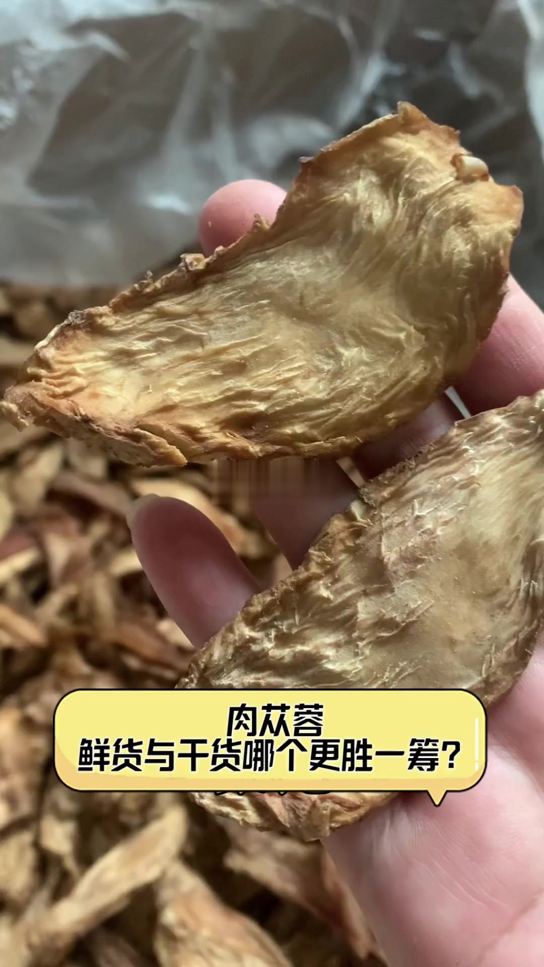 肉苁蓉,鲜货与干货哪个更胜一筹?