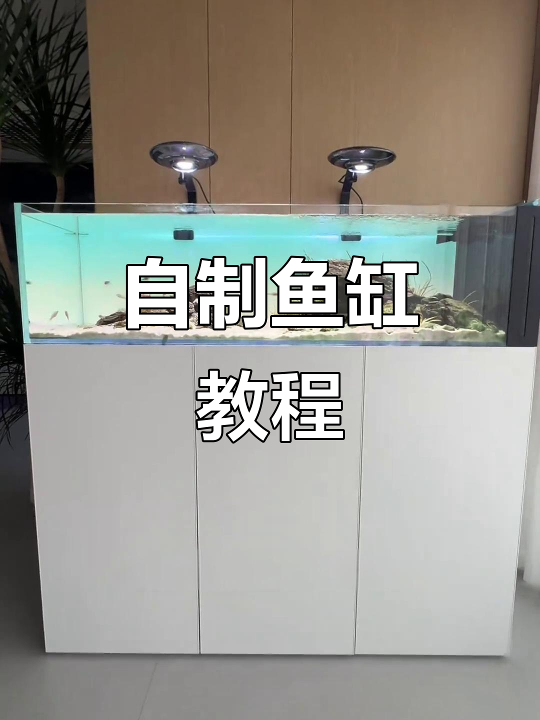 家庭鱼缸DIY,几百块搞定!