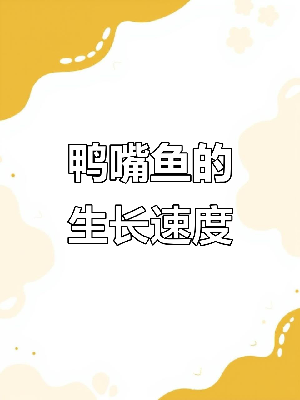 鸭嘴鱼一年能长多少?淡水养殖的惊人速度
