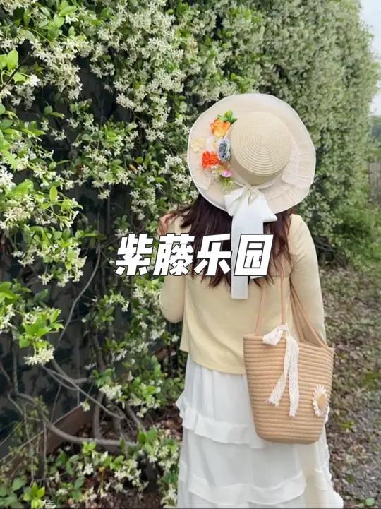 这个五一就来江坝城市菜园赏玫瑰花钓小龙虾吧!