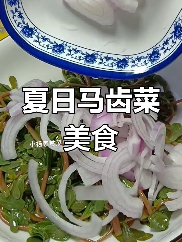 马齿菜新做法,简单又美味!夏季必吃长寿菜