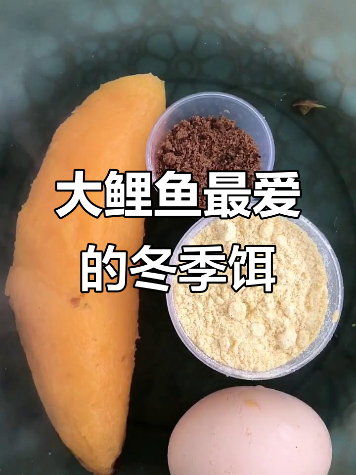 冬季大鲤鱼最爱!这款饵料搭配让你轻松钓获