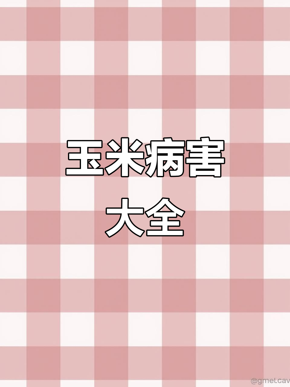 玉米常见病害大揭秘:从低温到纹枯病,全解析