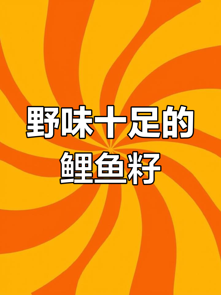 微山湖野生鲤鱼籽,营养丰富,多种做法尽享自然美味