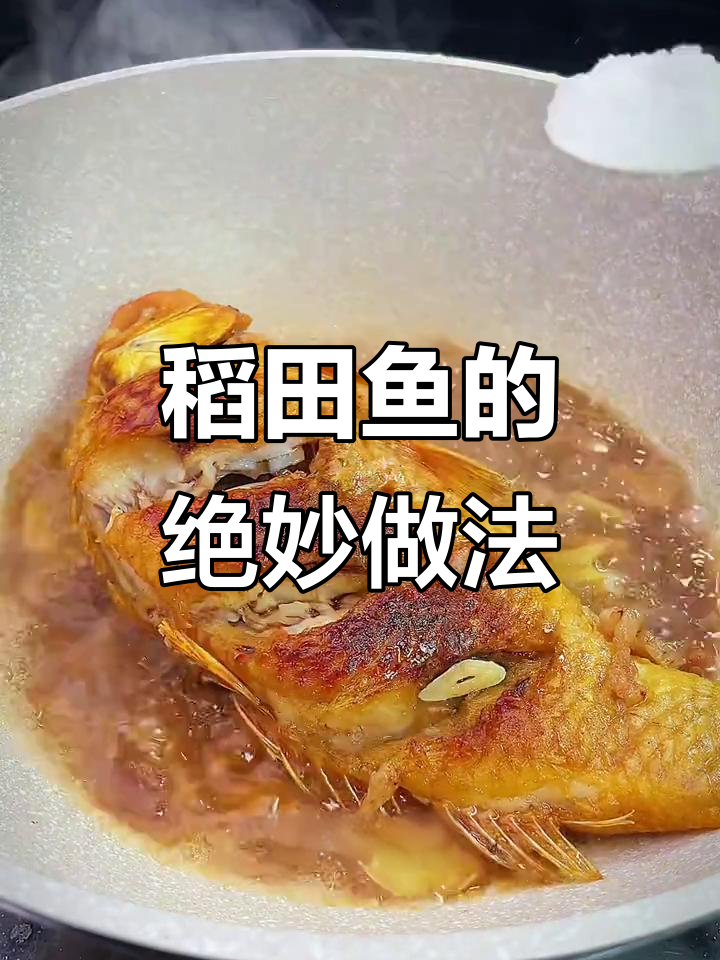 正宗田鱼做法大揭秘,鳞片不用去,煎煮焖烧全搞定