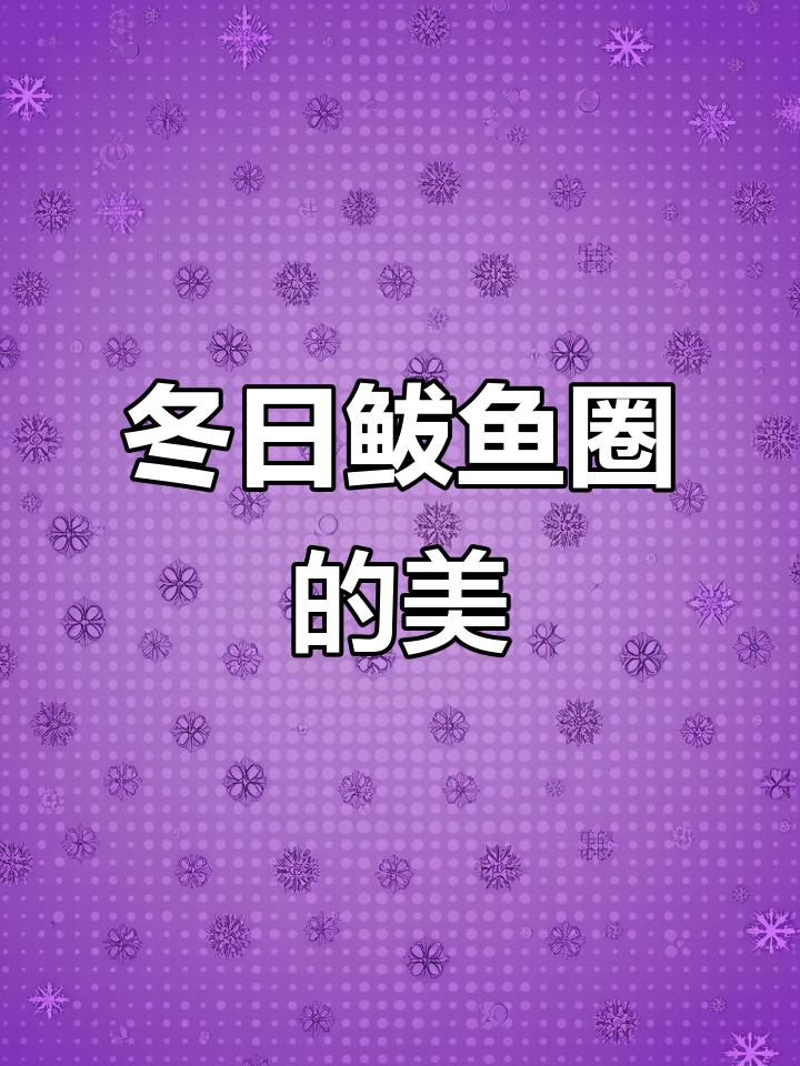 鲅鱼圈的冬天魅力，冰雪中的温暖与美景