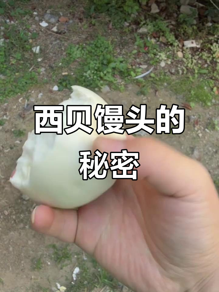 西贝馒头三天不馊,秘诀竟是这!