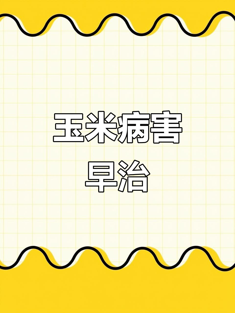 玉米茎基腐病与顶腐病的防治技巧,大雨后最易发病