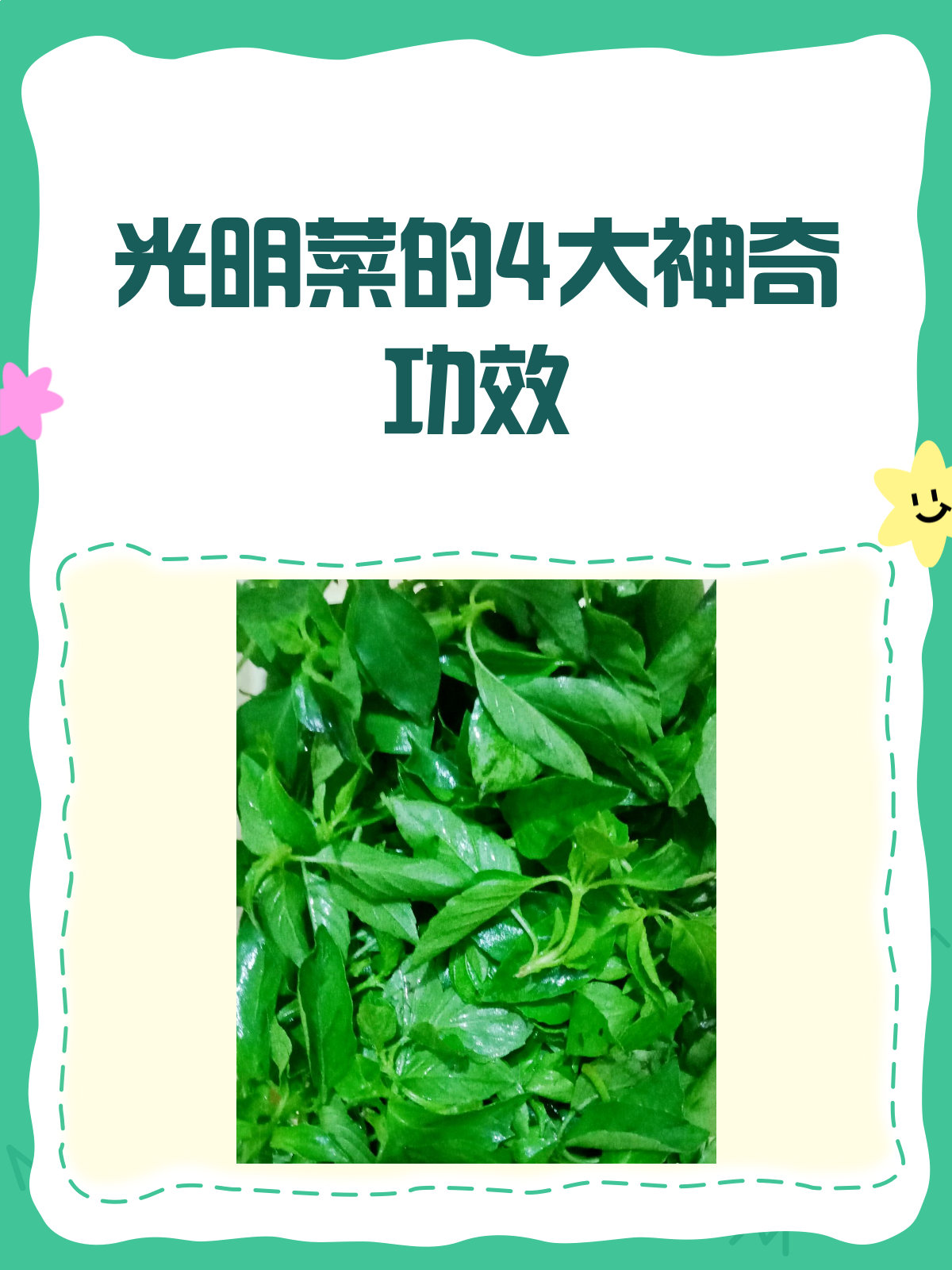光明菜?这菜名好新奇,它有啥功效呢?