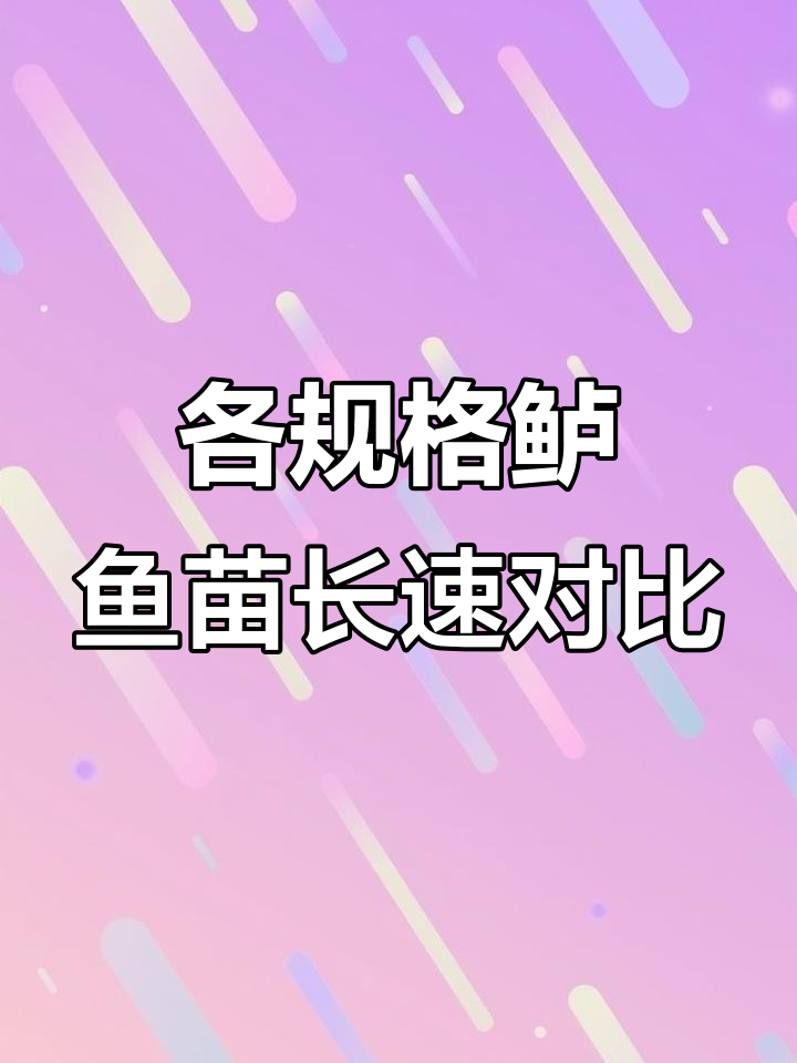 不同规格鲈鱼苗生长速度大揭秘,长势惊人!