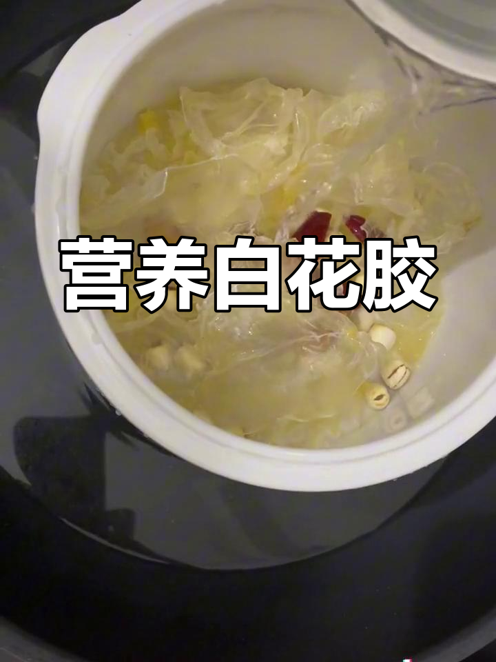 白花胶炖牛奶,美味又滋补!