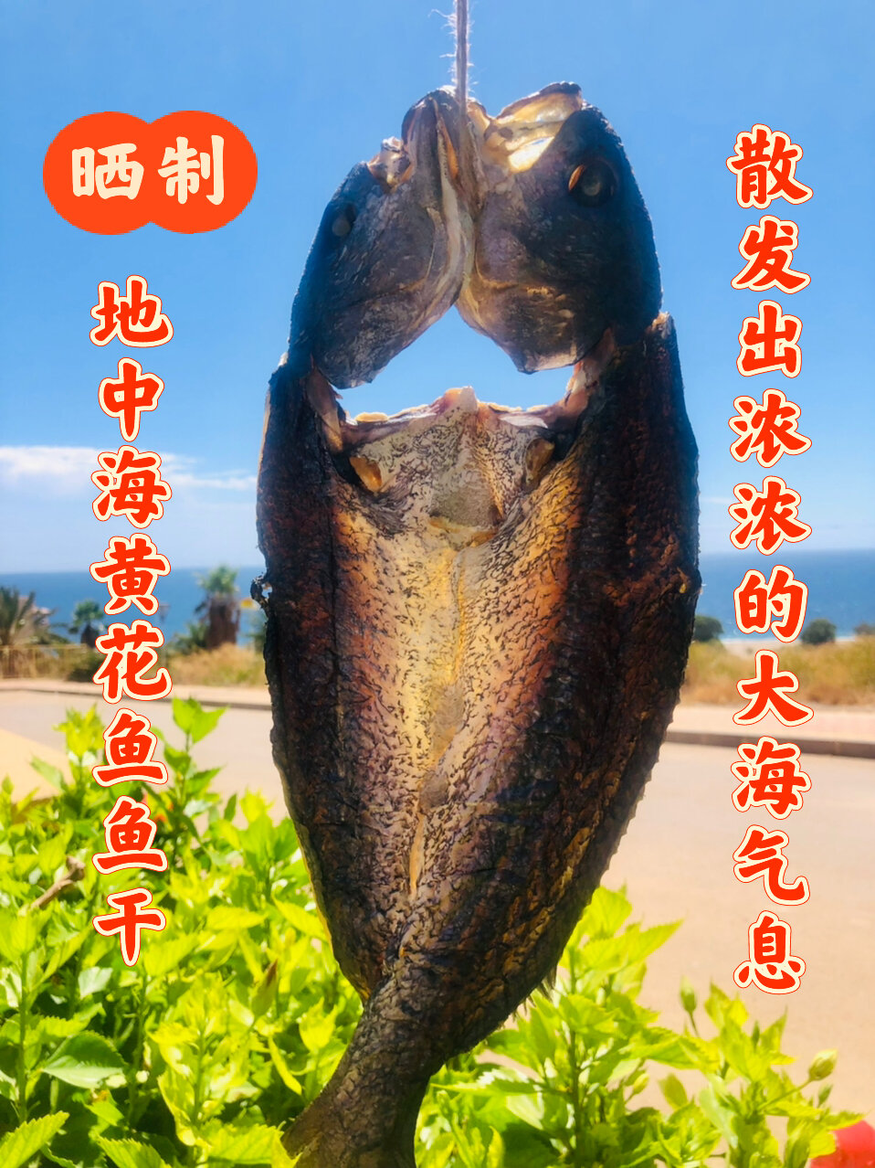 地中海黄花鱼鱼干晒成功满满的大海味道