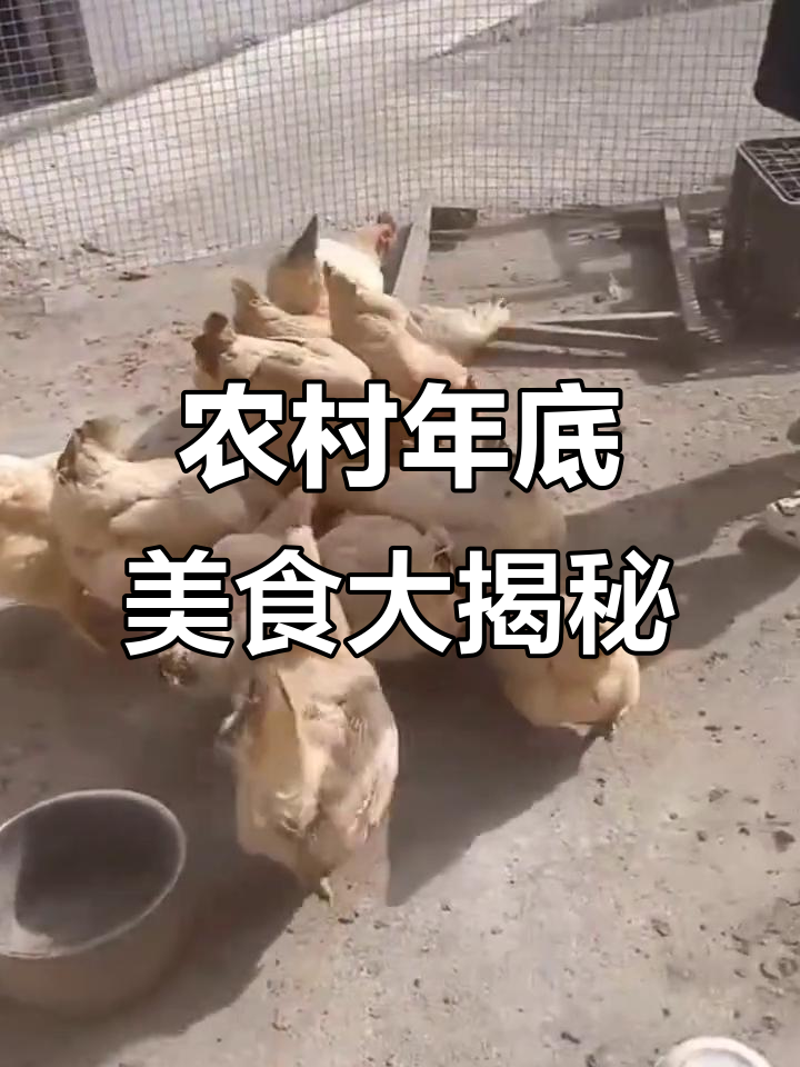 年底吃鸡鸭还是鱼?田里抓到黄哥哥,带鱼也来了!