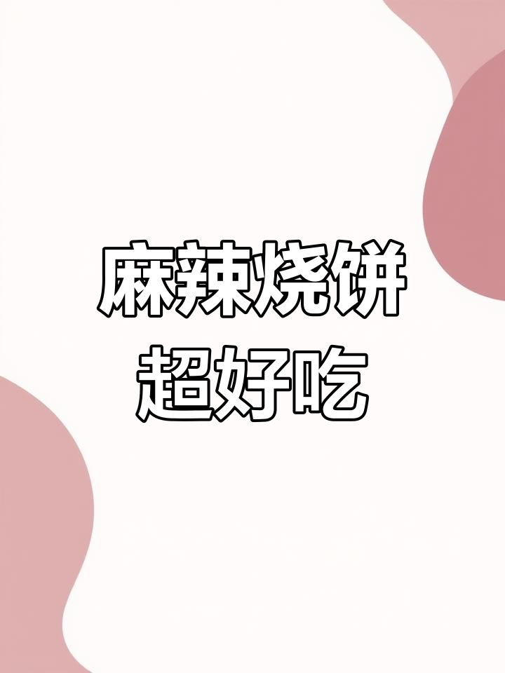 麻辣烧烤烧饼,外酥内软,一口接一口停不下来