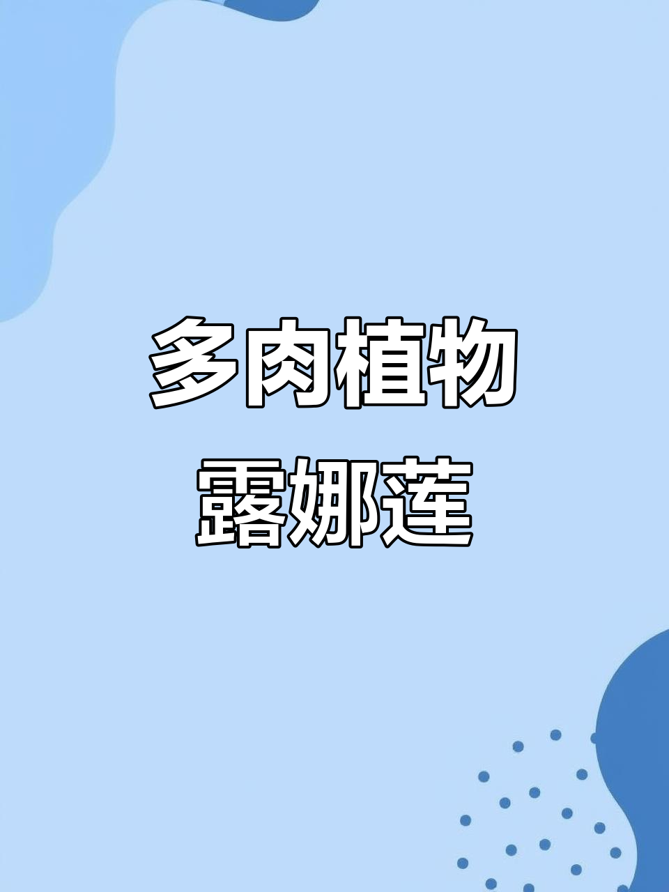 露娜莲:多肉植物的魅力与养护技巧