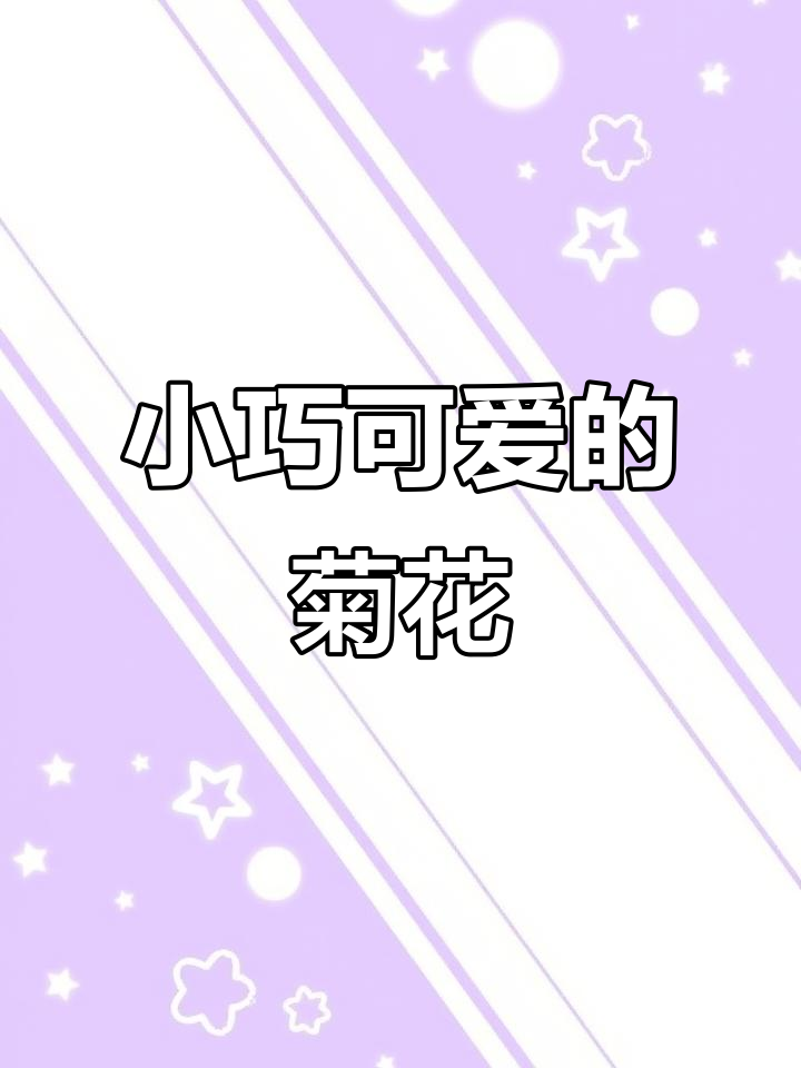 微小菊花盆景,超可爱!