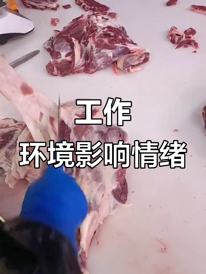 好的工作环境让人心情大好,猪肉分割师的工作日常