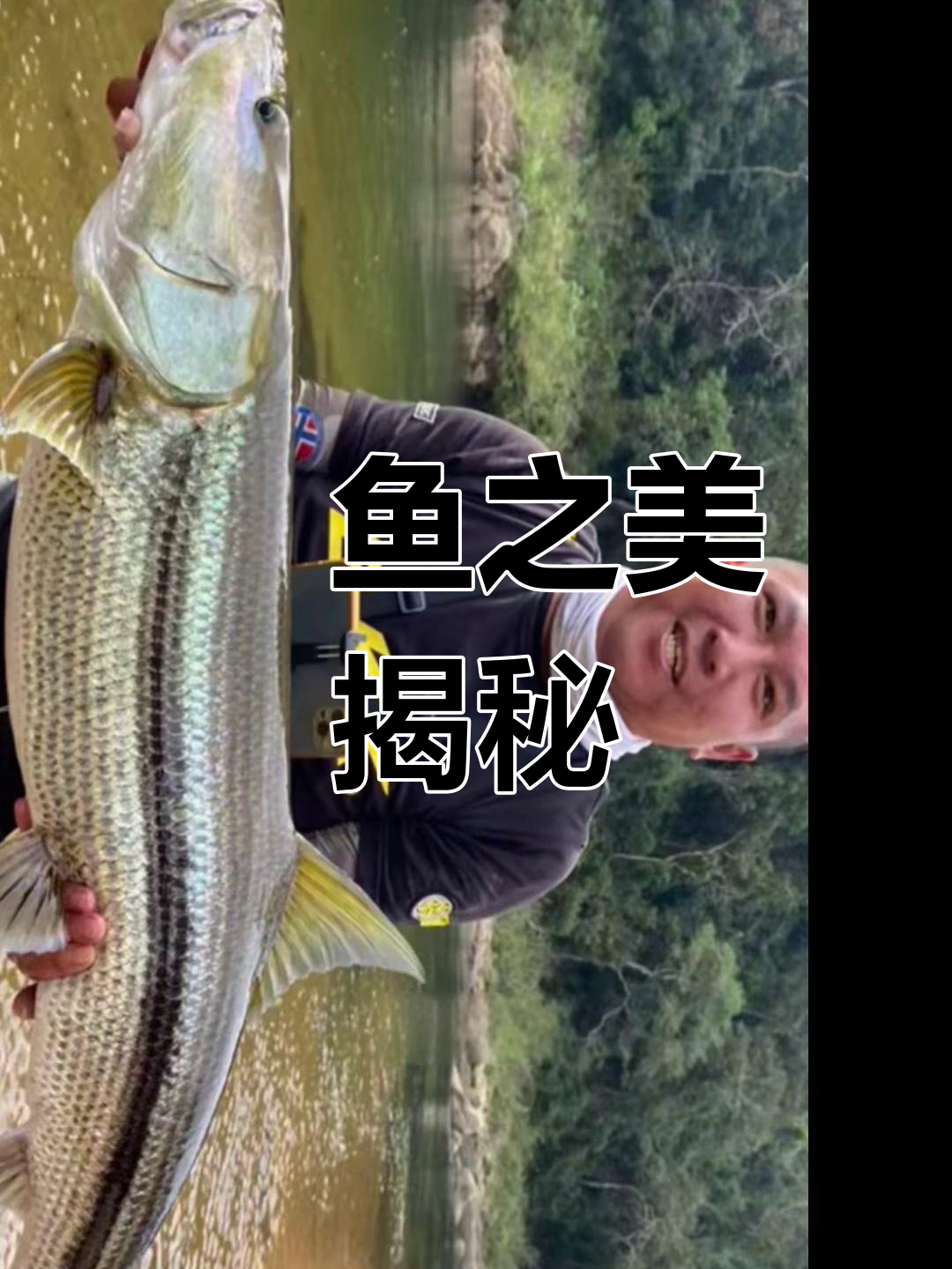 铜头竿与细纹字:探秘淡水猛鱼的独特魅力