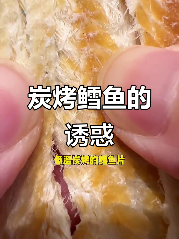 鳕鱼片炭烤更美味，营养丰富，适合中老年食用