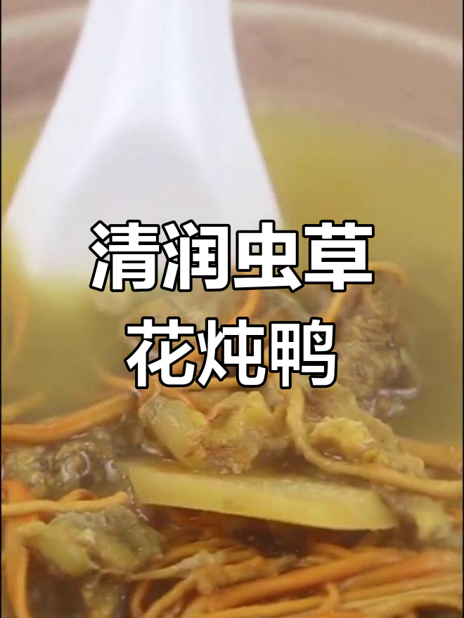 虫草花老鸭汤,滋补又美味