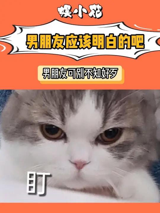 我的宝宝 希望你不要不识好歹~ 中秋 朋友圈文案 中秋文案怎么发 艾特你想艾特的人 情侣