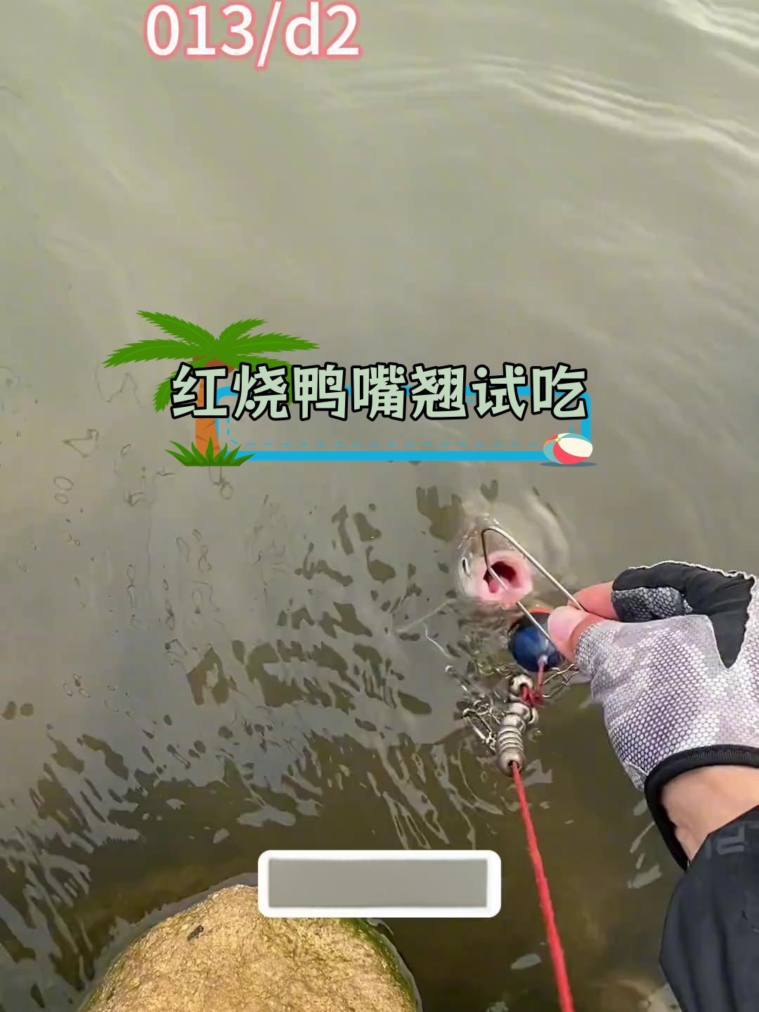 钓鱼新发现:鸭嘴翘比桂鱼好吃