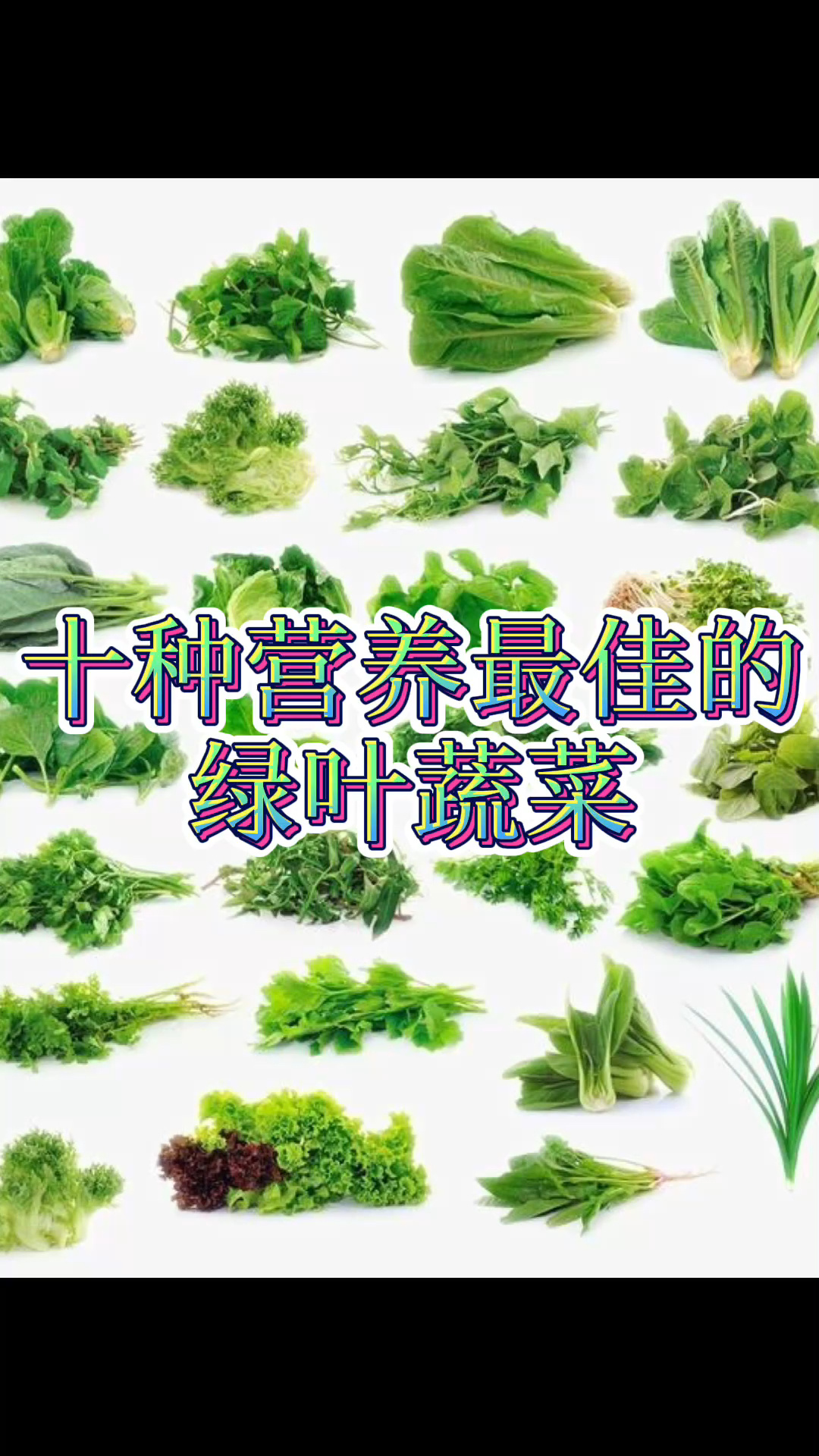 推荐十种营养最佳的绿叶蔬菜给大家