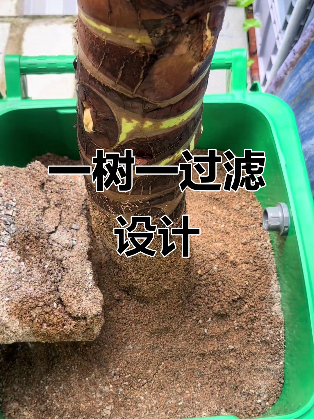 鱼池过滤系统大揭秘：从底部进水到顶部出水，打造自然循环