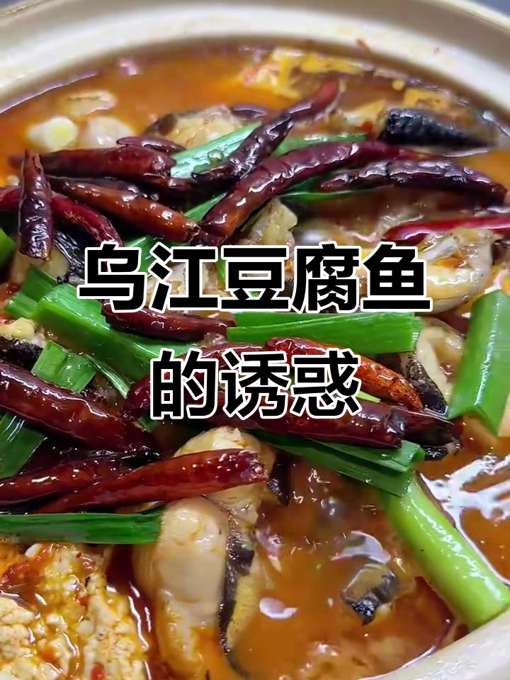 贵州乌江豆腐鱼,鱼肉鲜美,豆腐更胜一筹!