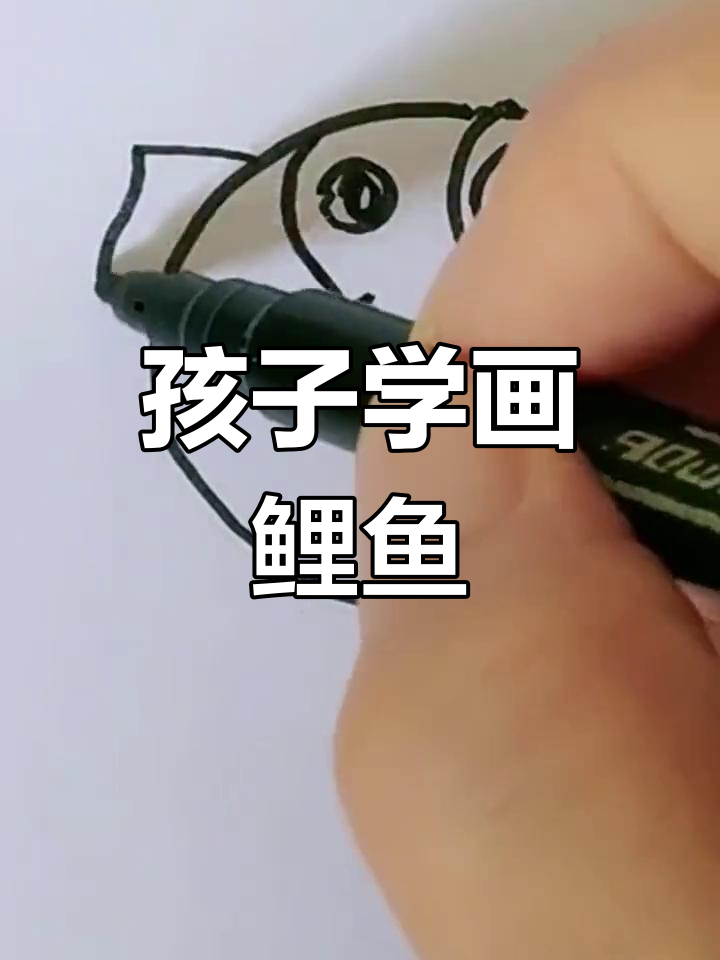 简单几步,教孩子画鲤鱼