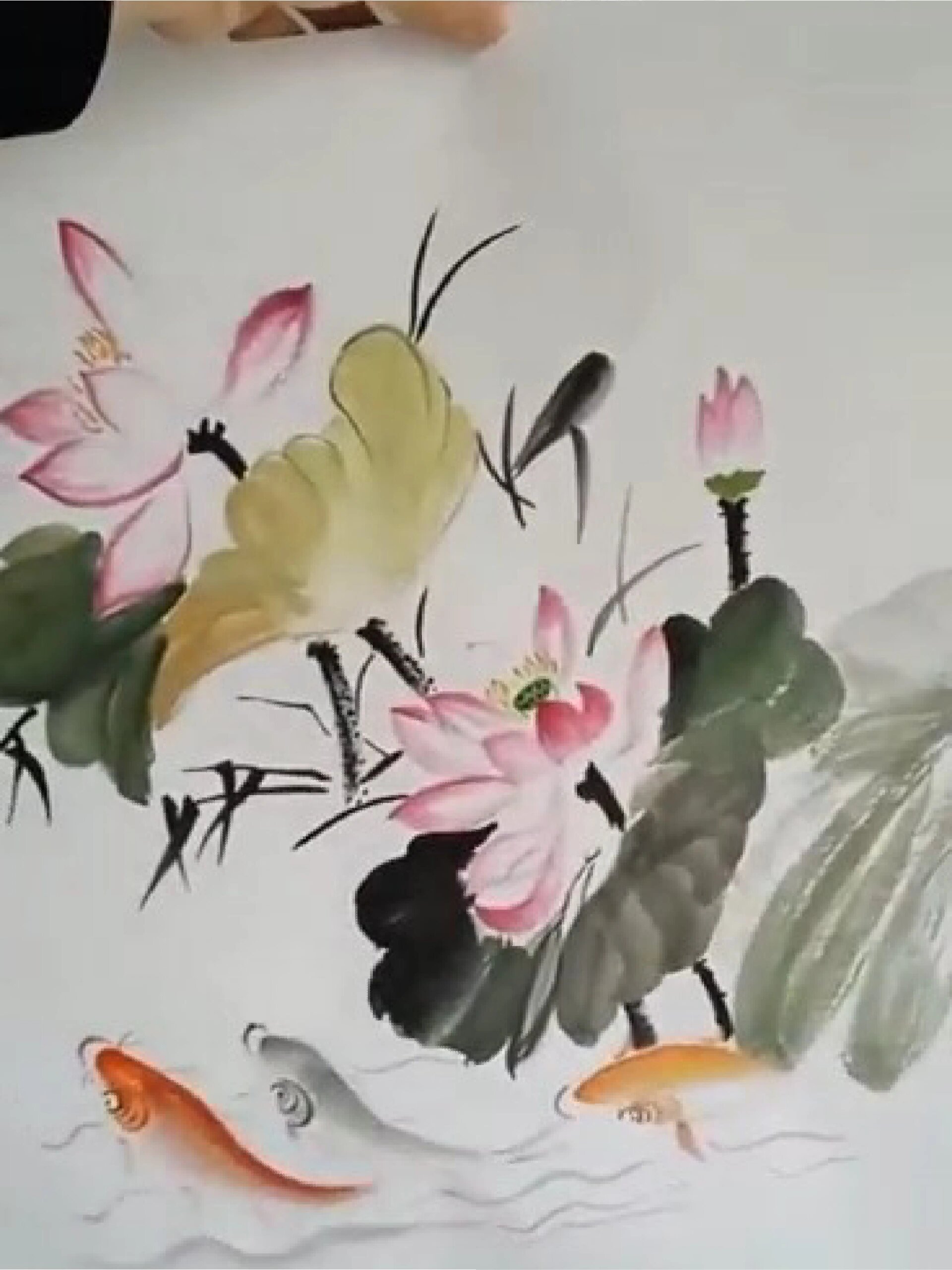 手绘国画装饰画荷花鲤鱼和和美美年年有余