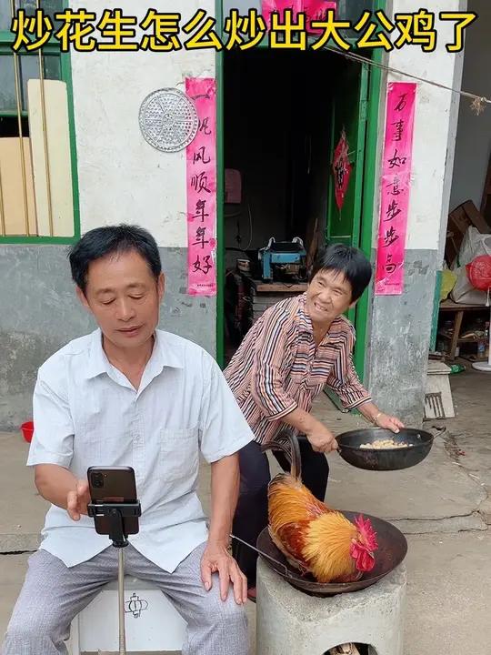 炒花生炒出大公鸡