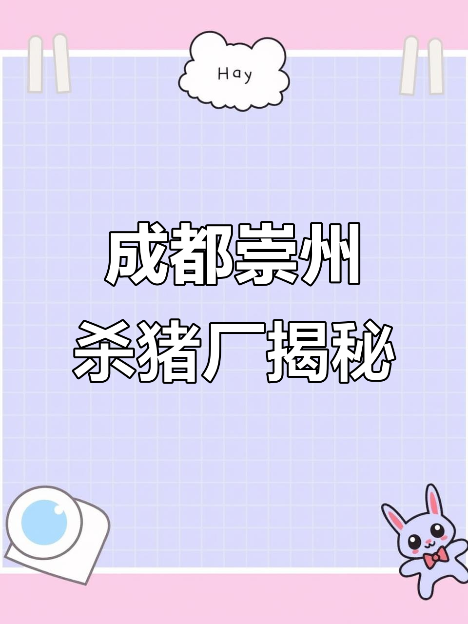 探访崇州市生猪屠宰场与白条批发市场，揭秘猪肉行业幕后