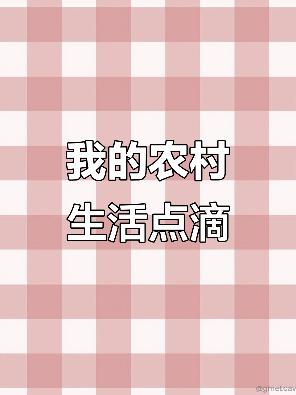 乡村生活趣事:孤独大白鹅与新伙伴的成长故事
