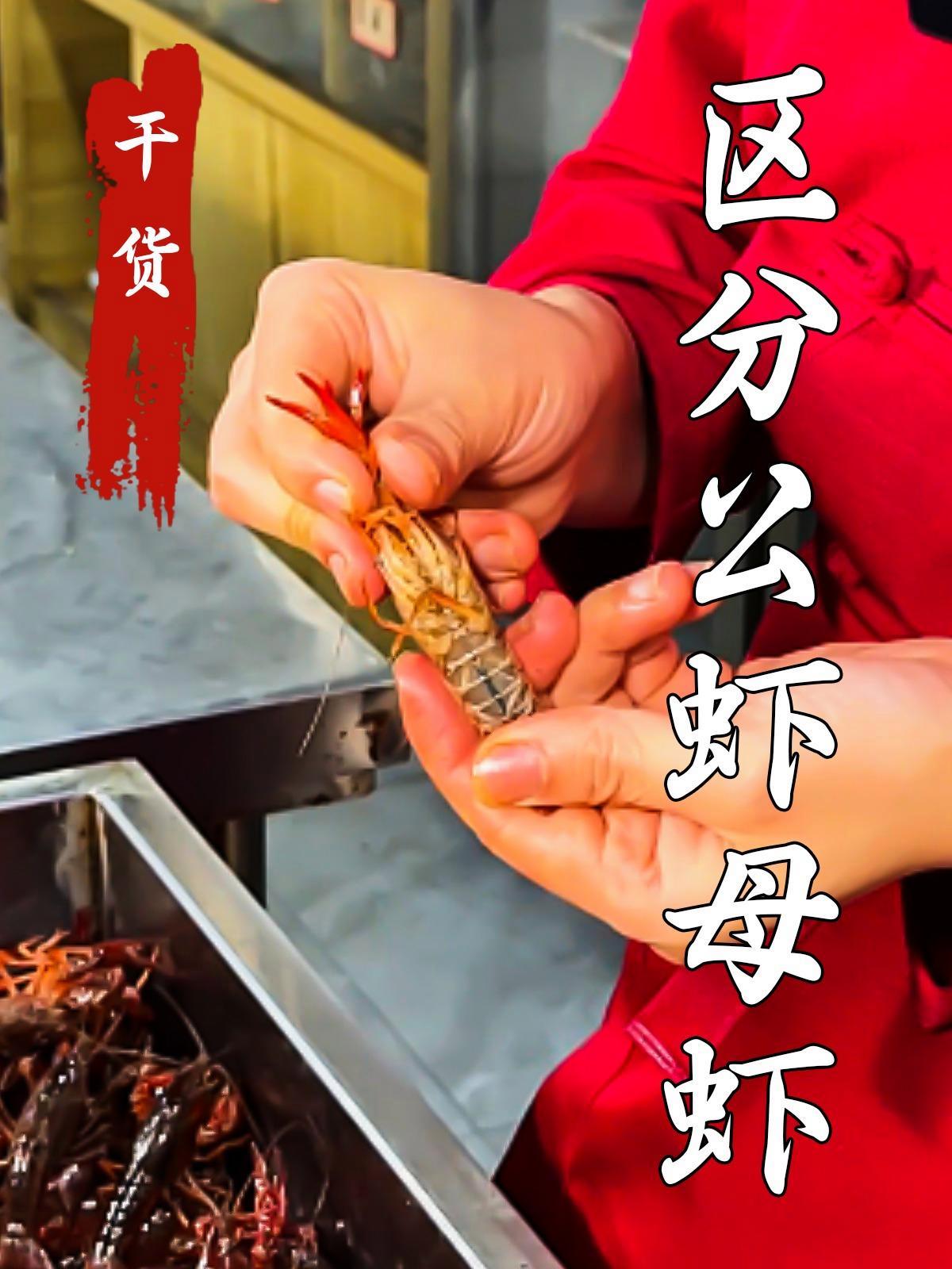 龙虾如何区分公虾和母虾?小龙虾