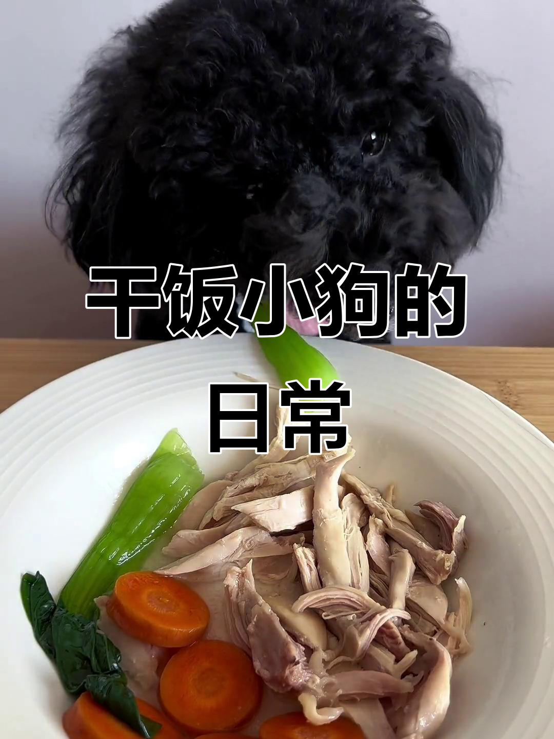 小狗吃蔬菜的搞笑日常,胡萝卜太硬了!