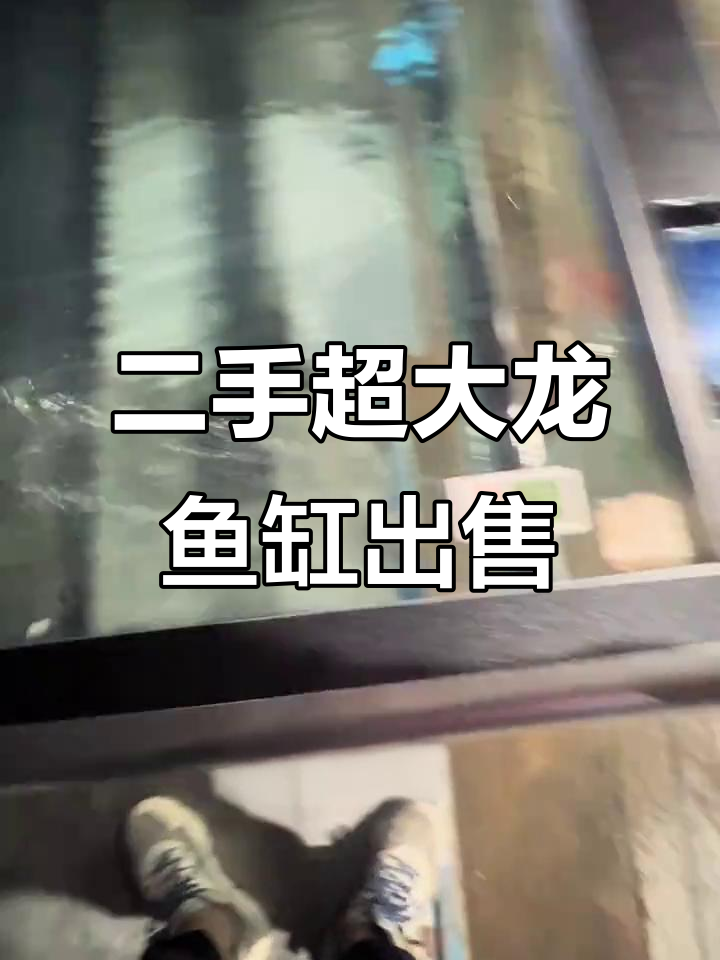 超大号龙鱼缸低价转让,一米八长六十五宽超值二手货
