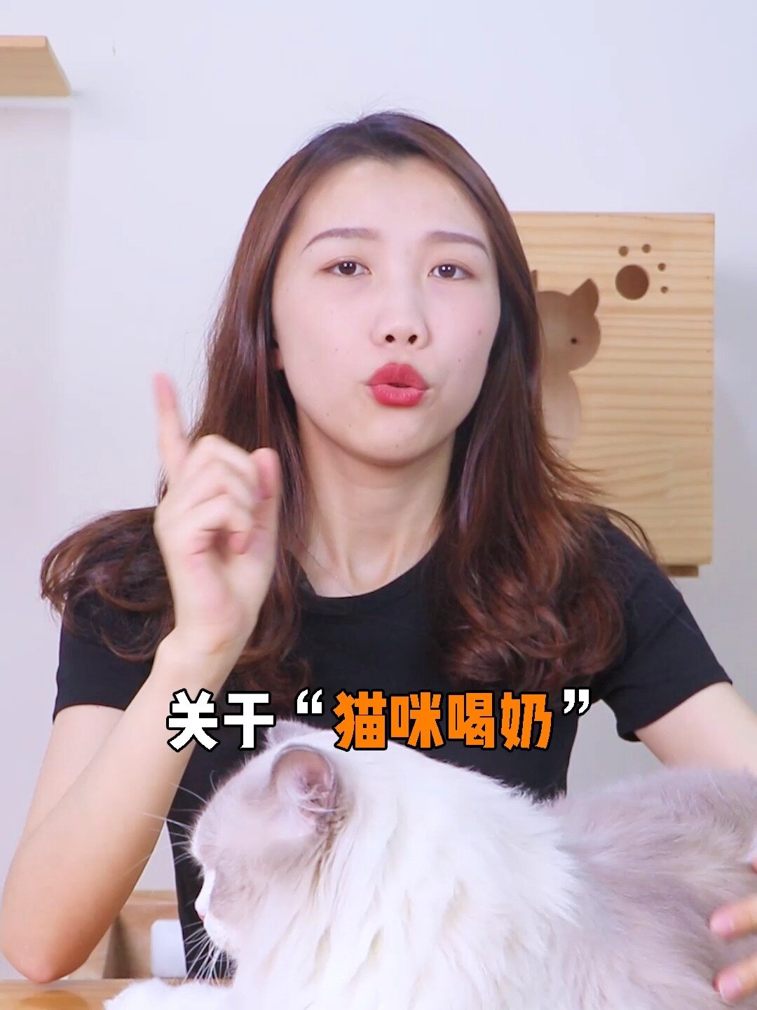 猫咪能喝什么奶?